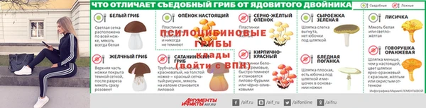 мяу мяу мука Арсеньев