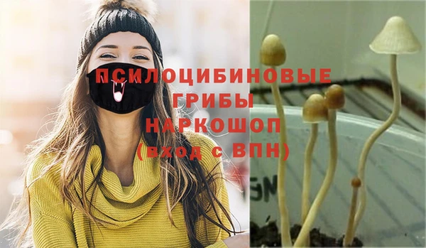 spice Армянск