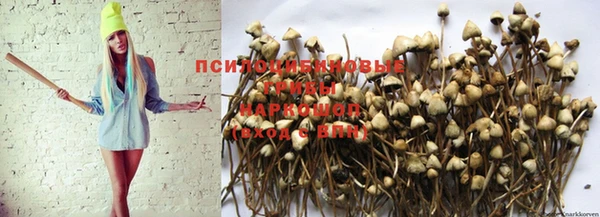 мяу мяу мука Арсеньев